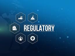  Iran’s Petchem needs to establish a regulatory body: APIC Secretary